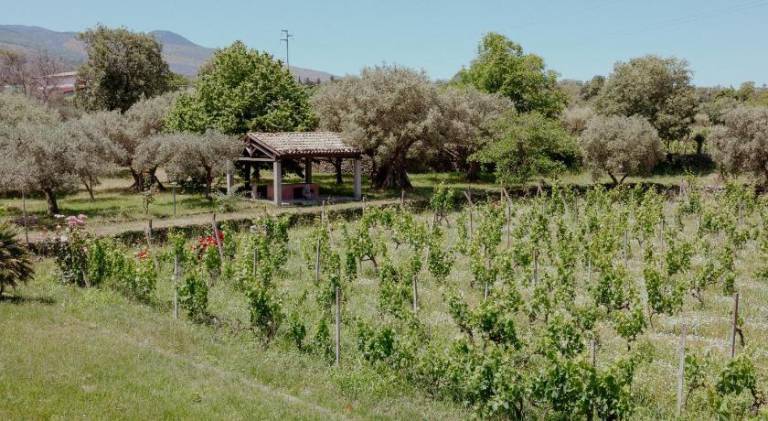 Tenunte Sciara in Randazzo