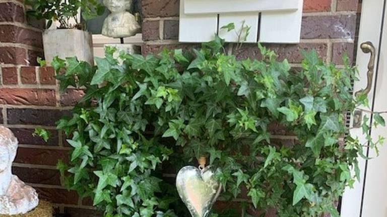 Ferienwohnung Möhnesee