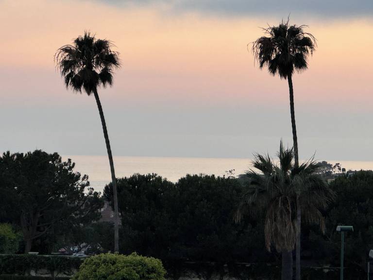 Condo Dana Point