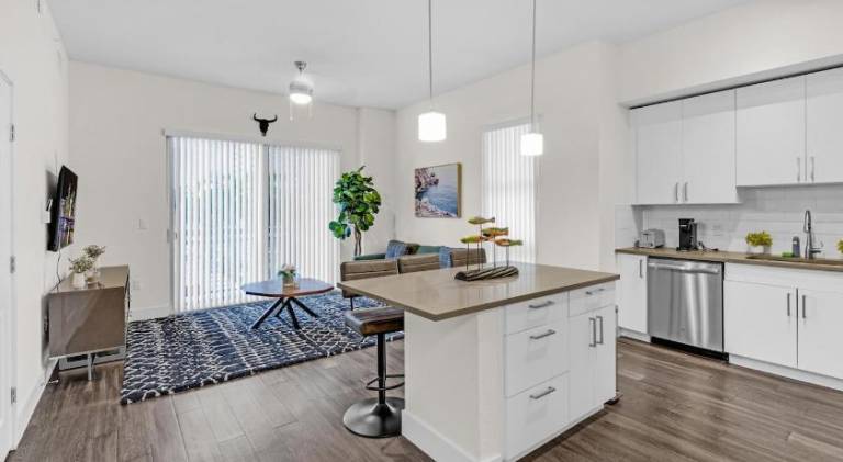 Holiday apartment with pool & jacuzzi in Miami, FL