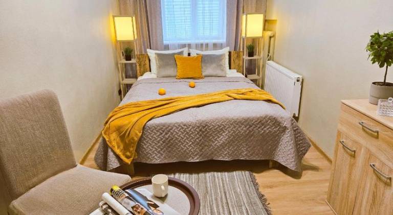 Rental apartment | Next to St. Peter's Church | Dogs allowed in Riga