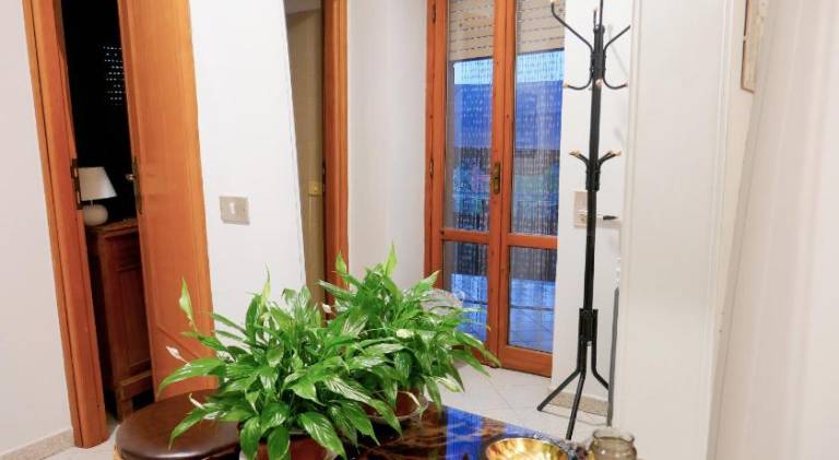 Lovely apartment | Pets are welcome — photo 5