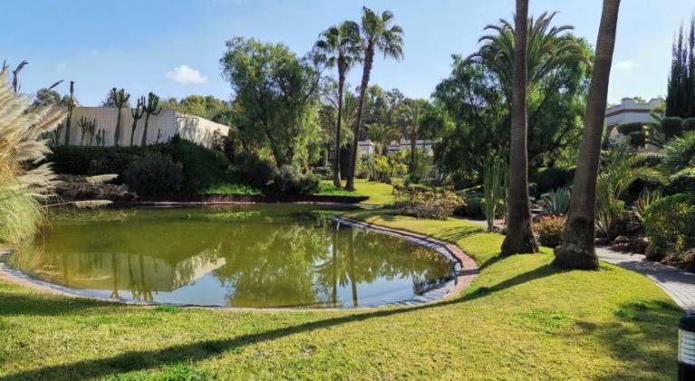 Villa with pool in Dakhla