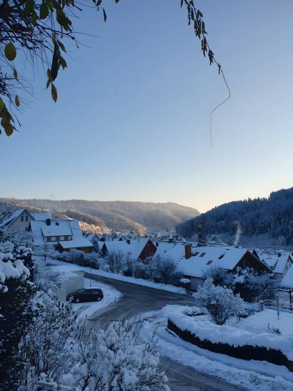 foto21