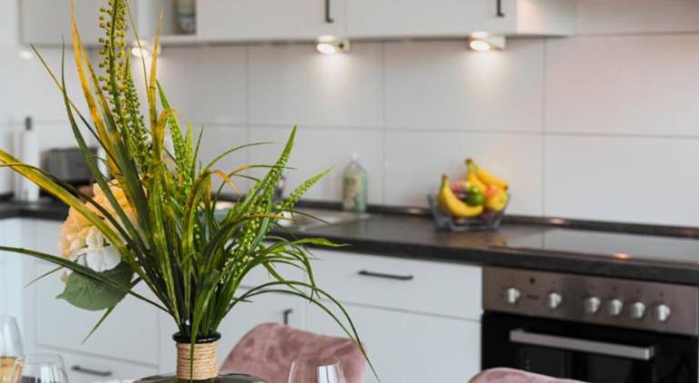 Apartment | Next to the beach | Pets are welcome in Friedrichshafen