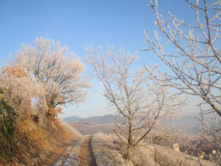 foto13