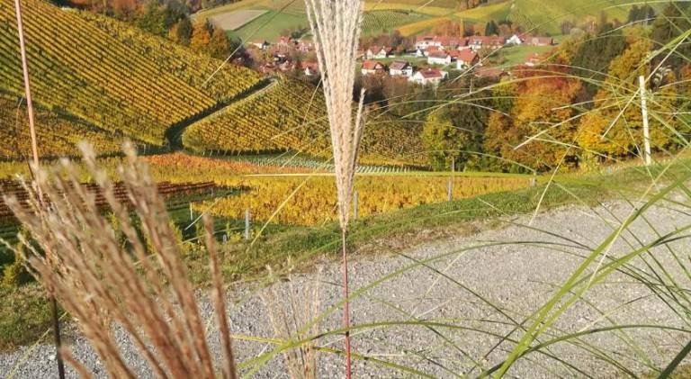 Ferienwohnung Gemeinde Leutschach