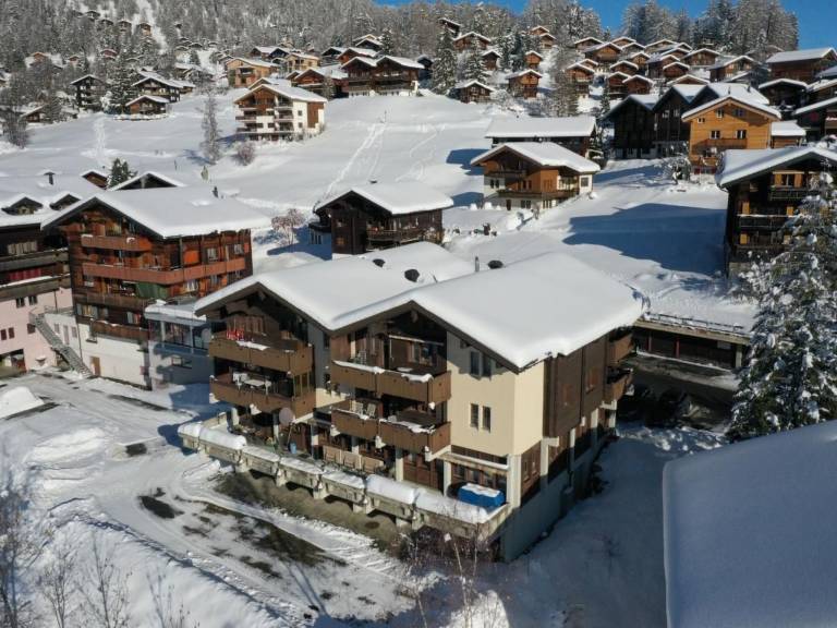 Appartement Fiesch