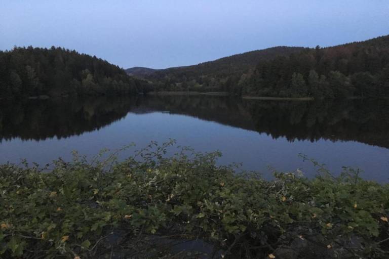 foto10