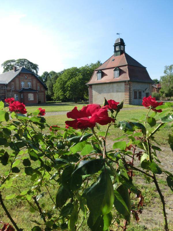 foto2