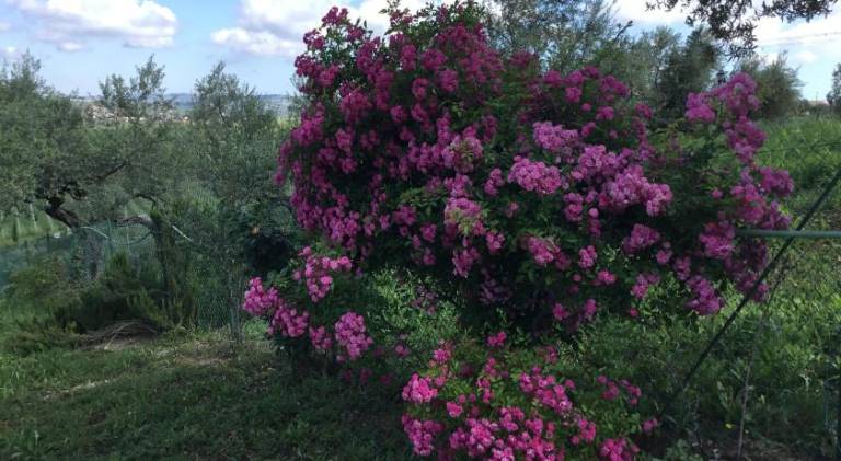 foto14
