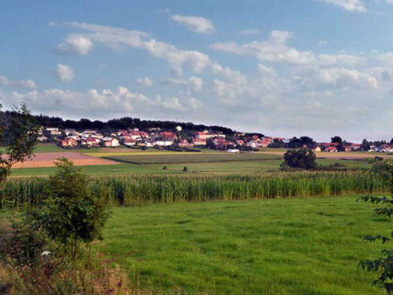 foto1