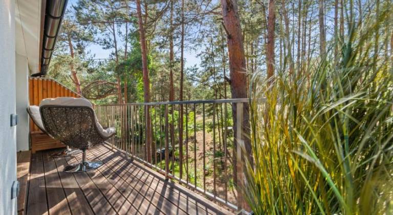 Rental apartment | Pets are welcome in Klaipeda