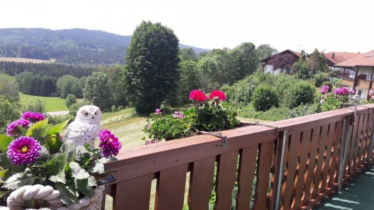 Ferienwohnung Bodenmais