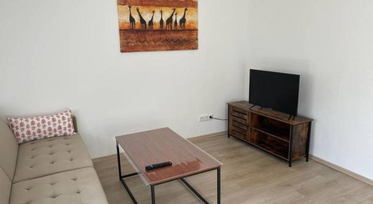 Beautiful apartment | Dogs allowed — photo 2