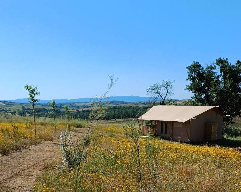 Agriturismo Magliano in Toscana