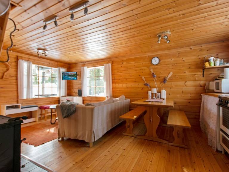 Vacation home with patio & sauna — photo 3