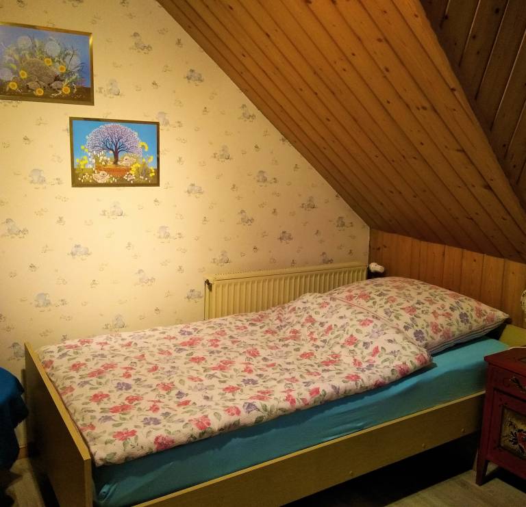 foto5