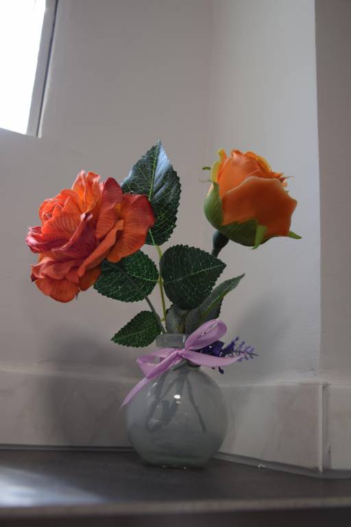 foto24