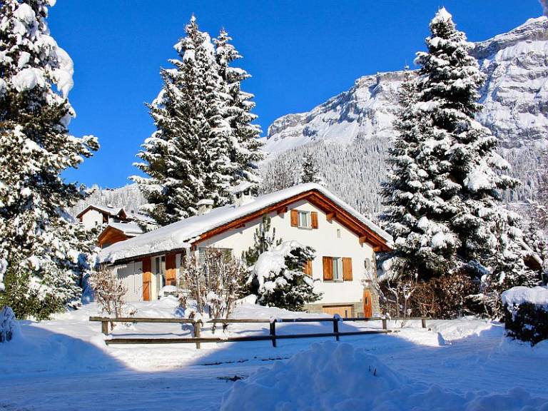 Ferienhaus Flims