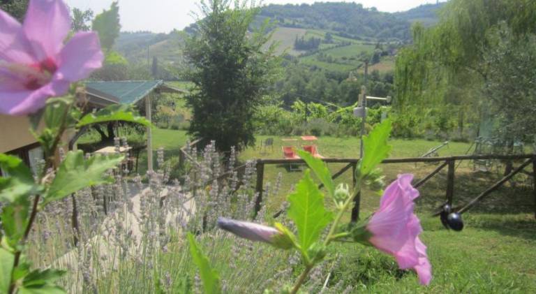 Lovely farm | Pet-friendly in Forlì