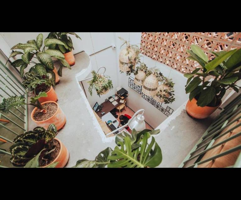 foto40