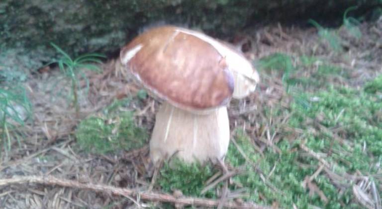 foto38