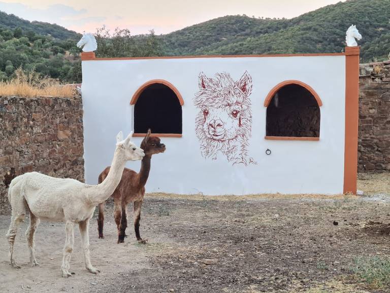 Villa Montoro