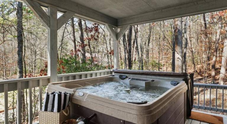Vacation home with hot tub — photo 3