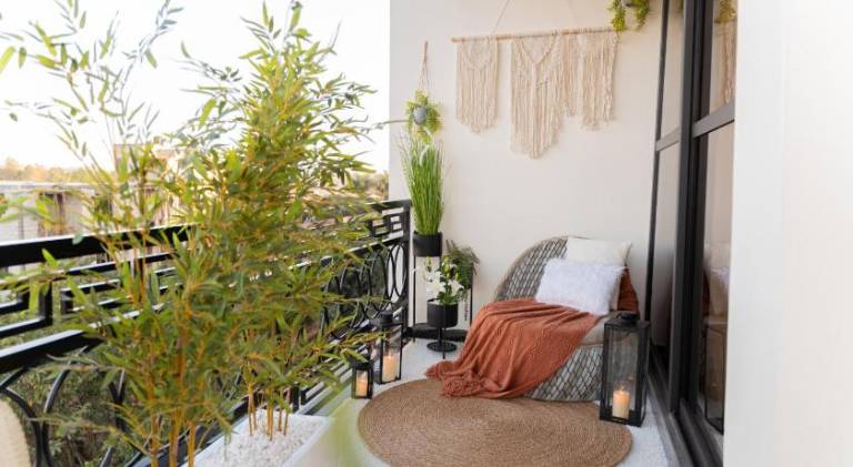 Serviced apartment with terrace | Pets are welcome — photo 4