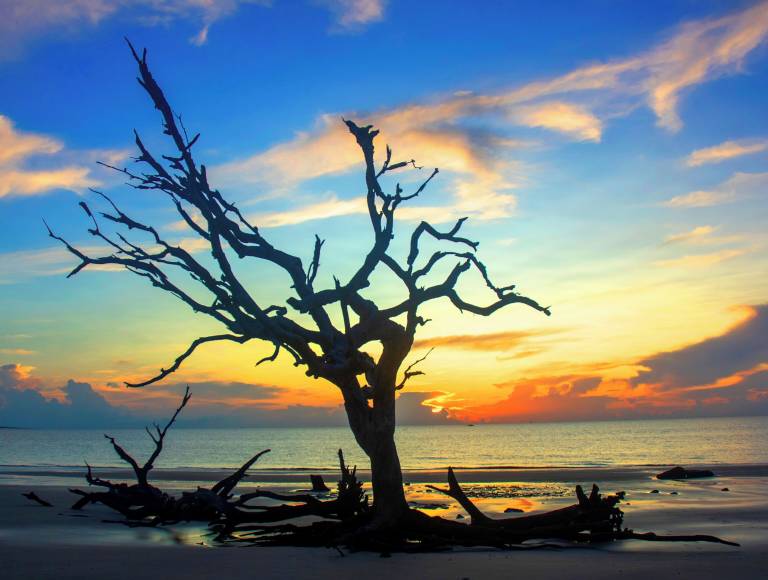 House  Jekyll Island