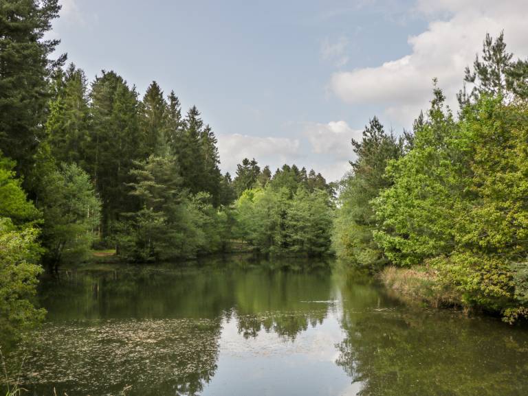 foto15
