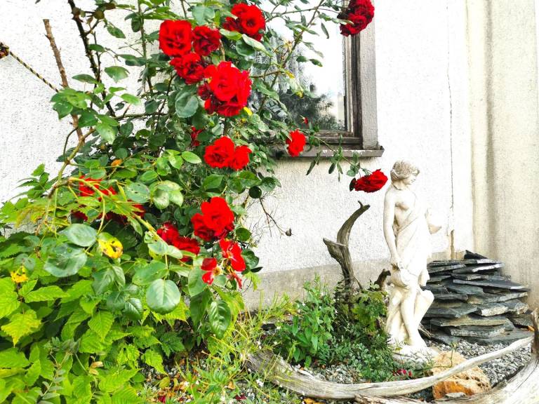 foto46