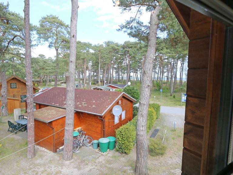 foto19