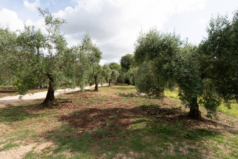 Agriturismo Country Casale Rufo: Camera Matrimoniale (2 adulti o 3 adulti) — photo 5