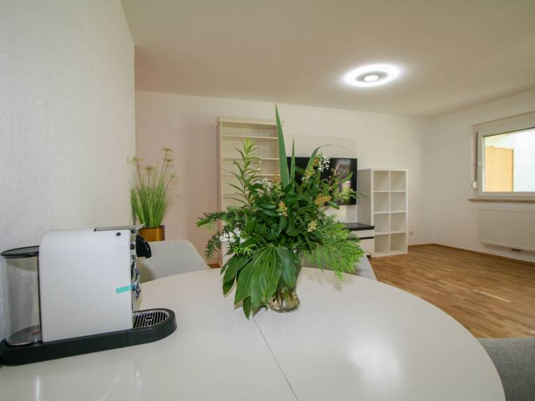 Rental apartment with garden & terrace | Mountain view — photo 3