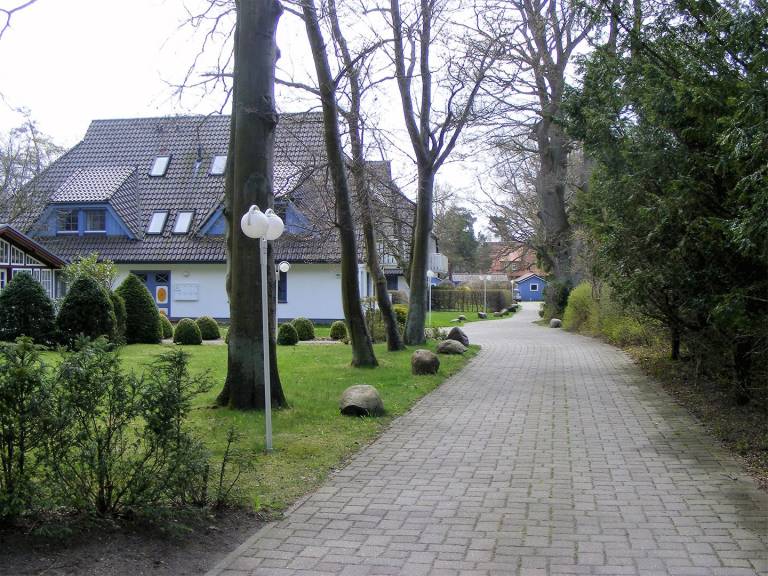foto11
