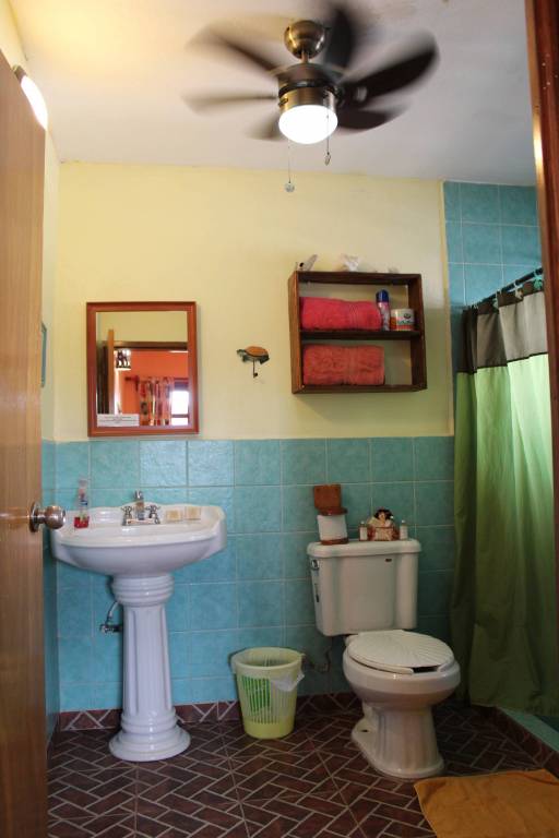 foto7