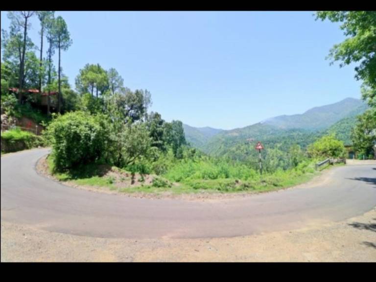 THE NATURE TREAT RESORT — photo 4