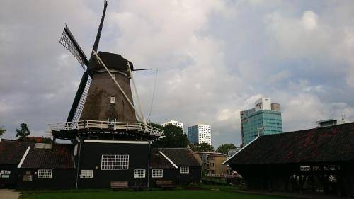 foto11