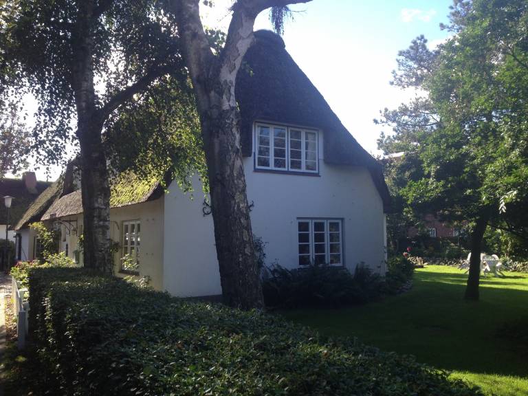 foto14