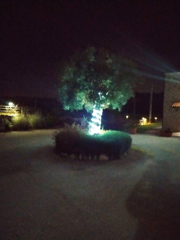 foto45