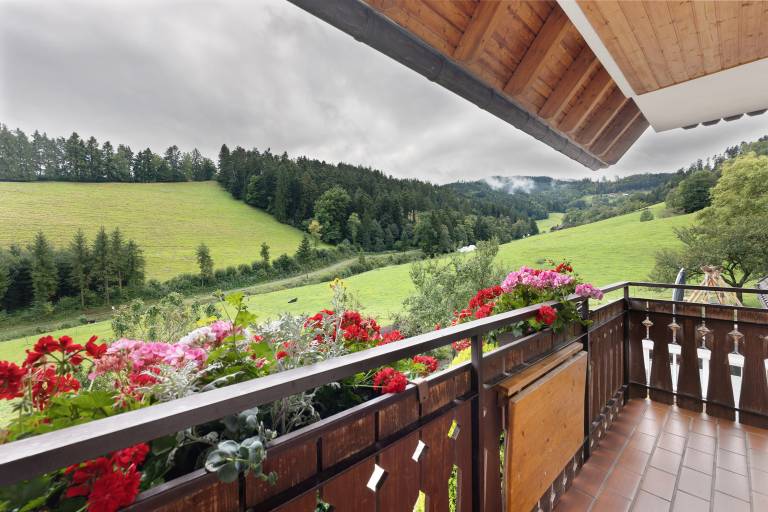 Ferienwohnung  Kirchzarten