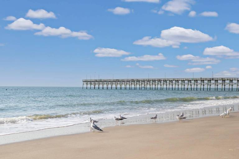 House Oak Island