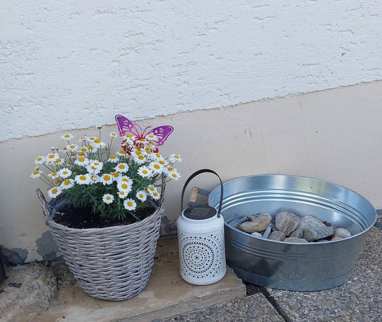 Apartment with garden | Lake view — photo 4