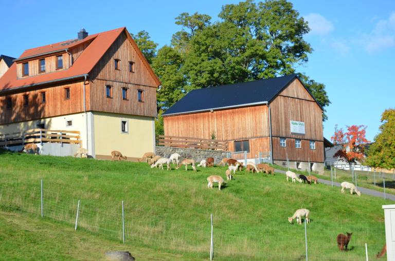 foto12