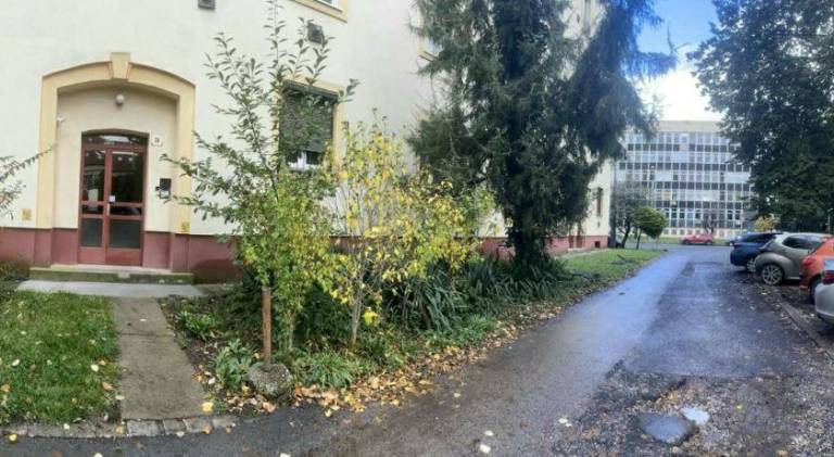 Rental apartment with 1 room for 3 persons — photo 4