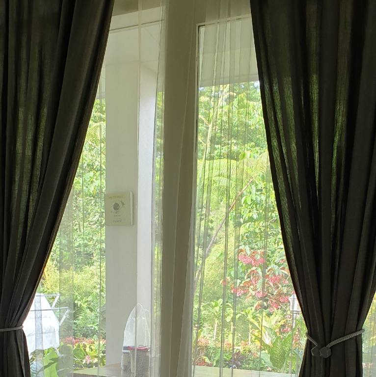 foto39
