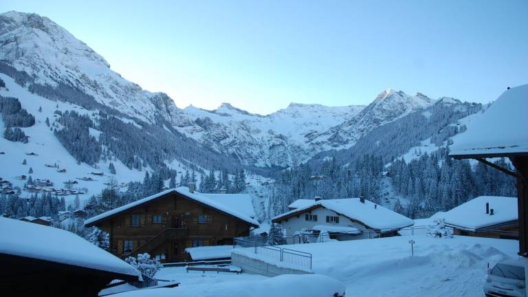 Ferienwohnung Adelboden