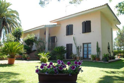 Bed & Breakfast Tanca Marchese